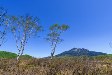 Fototapeta na wymiar 尾瀬ヶ原から見た春の燧ヶ岳
