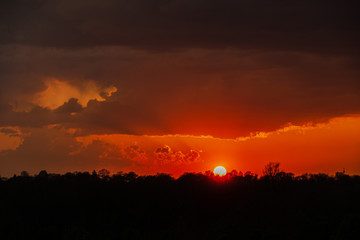 sunset in the forest