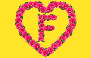 Alphabet F Design using Pink Hibiscus Flower and love shape on isolated Background. China Rose love shape letter.Double headed Pink Hibiscus font