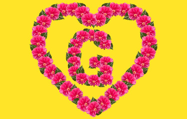 Alphabet G Design using Pink Hibiscus Flower and love shape on isolated Background. China Rose love shape letter.Double headed Pink Hibiscus font