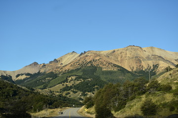  montañas bosque nativo chile patagonia