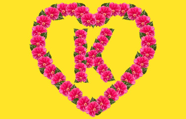 Alphabet K Design using Pink Hibiscus Flower and love shape on isolated Background. China Rose love shape letter.Double headed Pink Hibiscus font