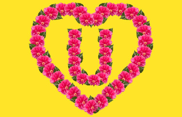 Alphabet U Design using Pink Hibiscus Flower and love shape on isolated Background. China Rose love...