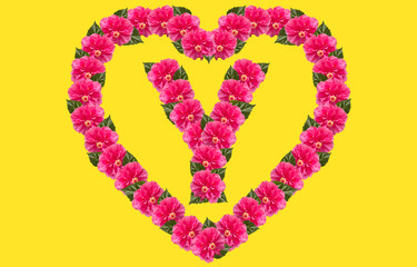 Alphabet Y Design using Pink Hibiscus Flower and love shape on isolated Background. China Rose love shape letter.Double headed Pink Hibiscus font