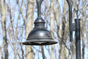 Street Light with wood in the bac and blue skykground