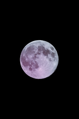 Pink_moon_2020