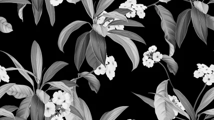 Foto op Plexiglas Floral seamless pattern, Woolly rock jasmine flowers and Cordyline fruticosa Firebrand plant in black and white © momosama