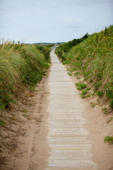 Fototapeta na wymiar A wooden boardwalk bordered by sandbanks covered in wild grasses leading to the horizon.
