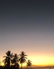 sunset on the beach