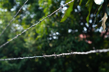 Shallow Depth of field of barbed wire and blurred background. Concept for forbidden area and...
