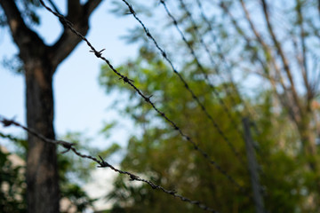 Fototapeta na wymiar Shallow Depth of field of barbed wire and blurred background. Concept for forbidden area and security.