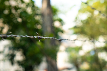 Shallow Depth of field of barbed wire and blurred background. Concept for forbidden area and security.