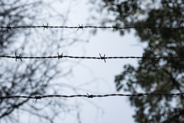 Shallow Depth of field of barbed wire and blurred background. Concept for forbidden area and security.