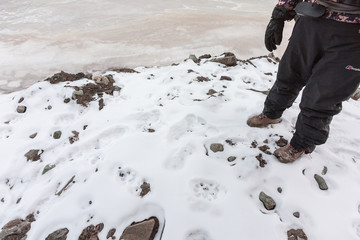 Guide standing on snowy ground covered in snow leopard pugmarks.