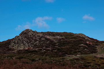 Conway Mountain, Wales, United Kingdom