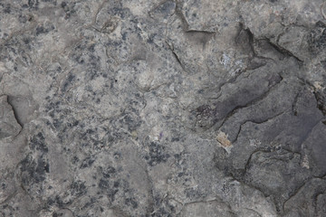 Stone