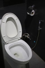 Toilet seat decoration in bathroom interior