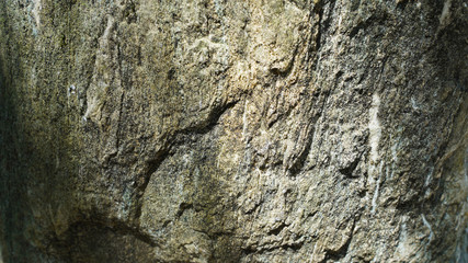 Stone texture, abstract background, uneven lines, bends of stone layers. Natural pattern composition.
