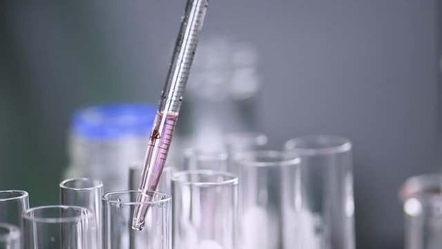 scientist  hand holding a medical dropper filled with red solution dripping  chemical liquid sample to flask test tube in the genetic laboratory. Science laboratory test tubes , laboratory equipment 