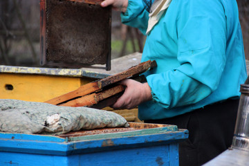 Beehive Spring Management. Beekeeper inspecting bee hive and prepares apiary for summer season. The spring works in the apiary. The start of beekeeping season. Frames of a bee hive. 