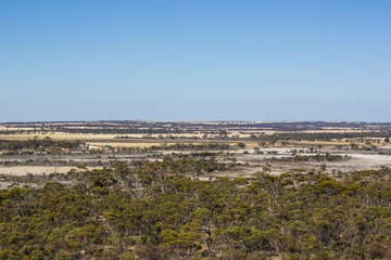Fototapeta premium Wave Rock, WA, Australia