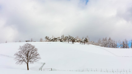 겨울
