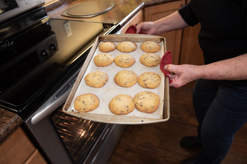 hands holding a tray of cookies