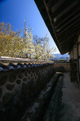 Fototapeta premium 오래된것