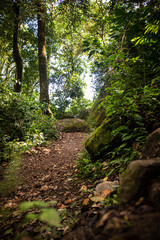 A dirty muddy trail on the side of a volcanic mountain in the humid jungles of Panama.