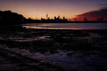 Fototapeta premium Auckland Skyline New Zealand