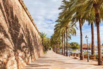 City wall of Palma de Mallorca with palm trees and an empty sidewalk near the harbor.