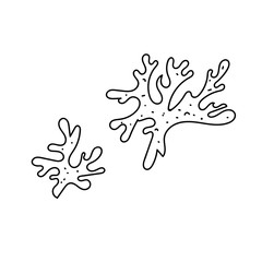 vector element, black and white picture of a marine inhabitant, algae
