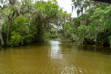 Fototapeta na wymiar River in the Bayou
