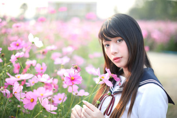 Portrait of Japanese school girl uniform with pink cosmos flower