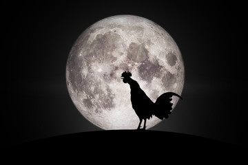 Silhouettes rooster crows in the morning   On the full moon day.Elements of this image furnished by NASA. © khunnok studio