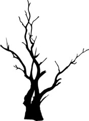 Bare Tree Silhouette