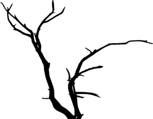 Bare Tree Silhouette