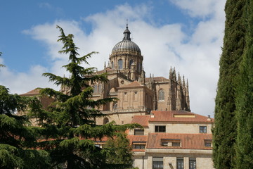 Fototapeta na wymiar View of Cathedral Nueva Salamanca Spain 