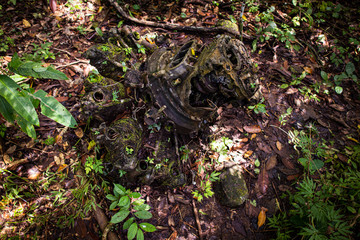 An ancient old engine found in the jungle.