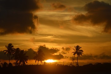 sunset on the beach