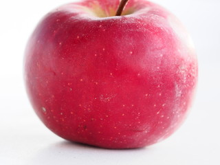 red Apple with a twig, macro
