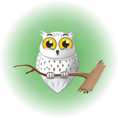 White owl with yellow eyes on a branch in the spring forest