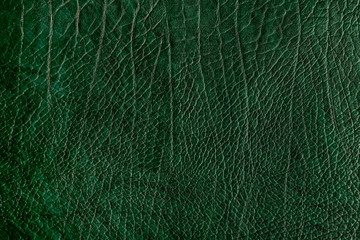 Green leather