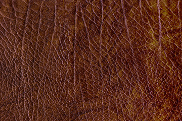 Brown leather background