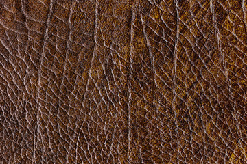 Brown leather background