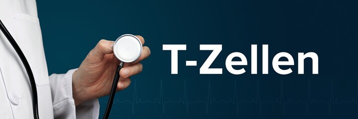 T-Zellen. Arzt im Kittel hält Stethoskop. Der Begriff T-Zellen steht daneben. Symbol für Medizin,...