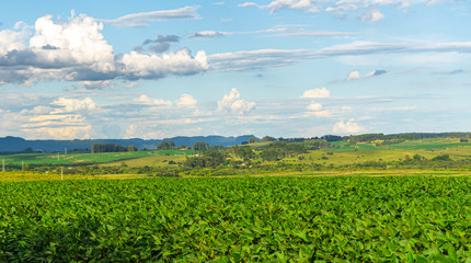 Fototapeta na wymiar Rural landscape on agricultural production farm in southern Brazil