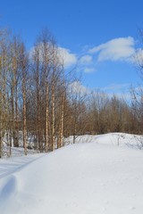 winter landscape with trees and snow