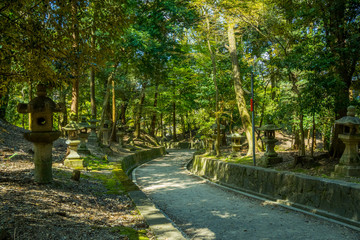 日本の原風景 石灯篭が並ぶ道 京都