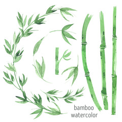 Watercolor bamboo green leaves clipart